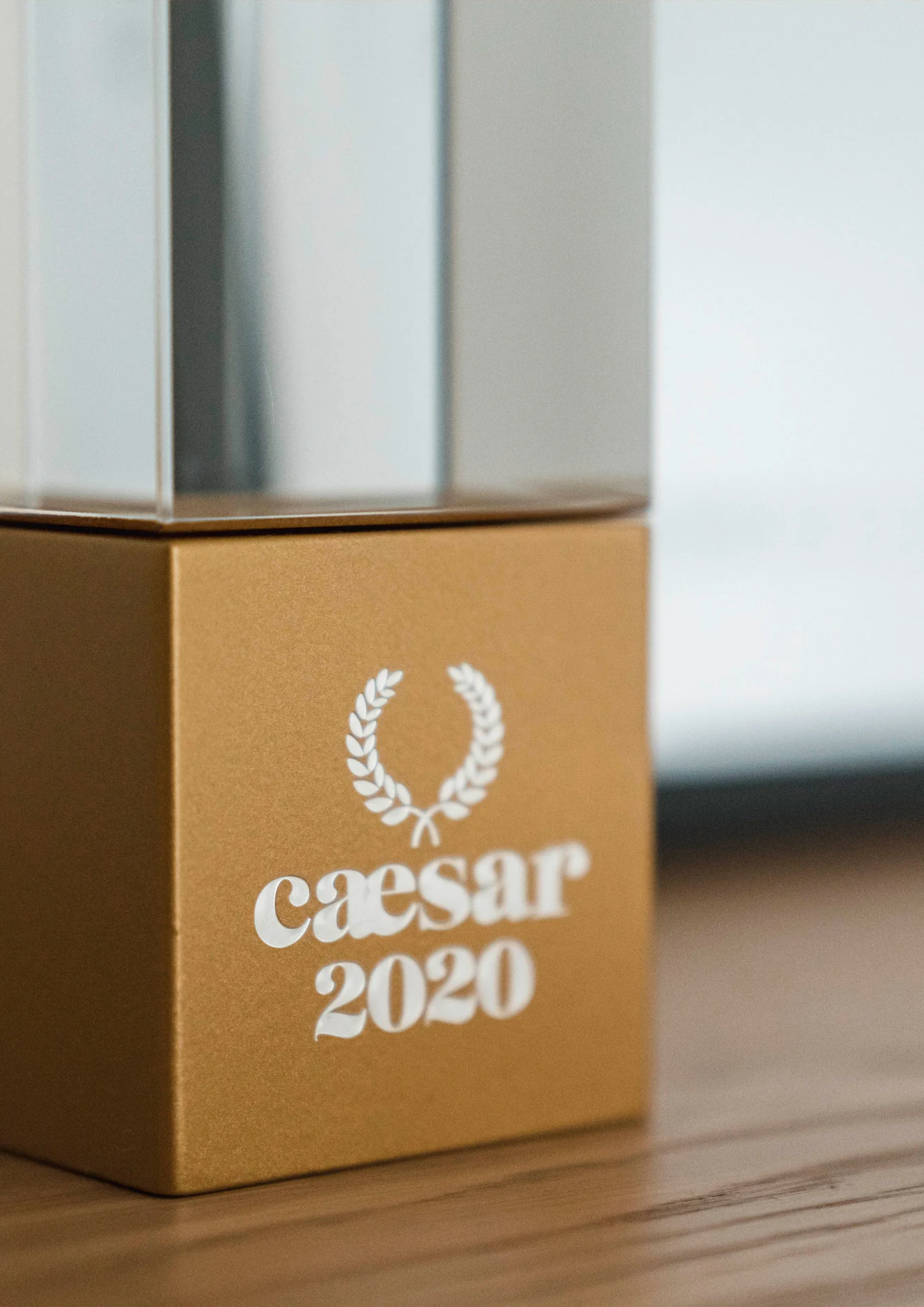 moremedia award cäsar