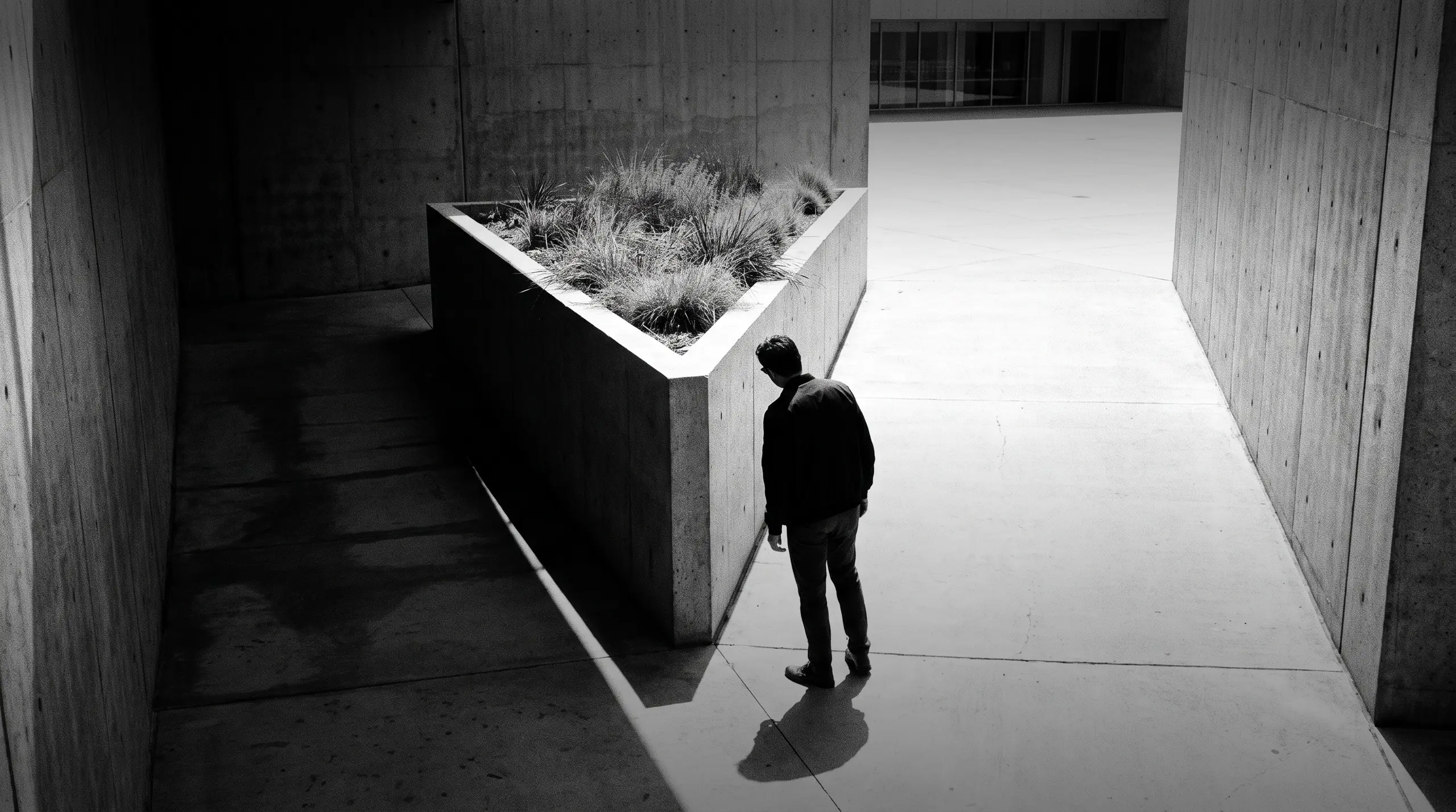 HUMAN STRUCTURES: Un homme se tient près d'un bac en béton triangulaire planté de graminées, dans une cour ouverte photographiée en plongée légère.