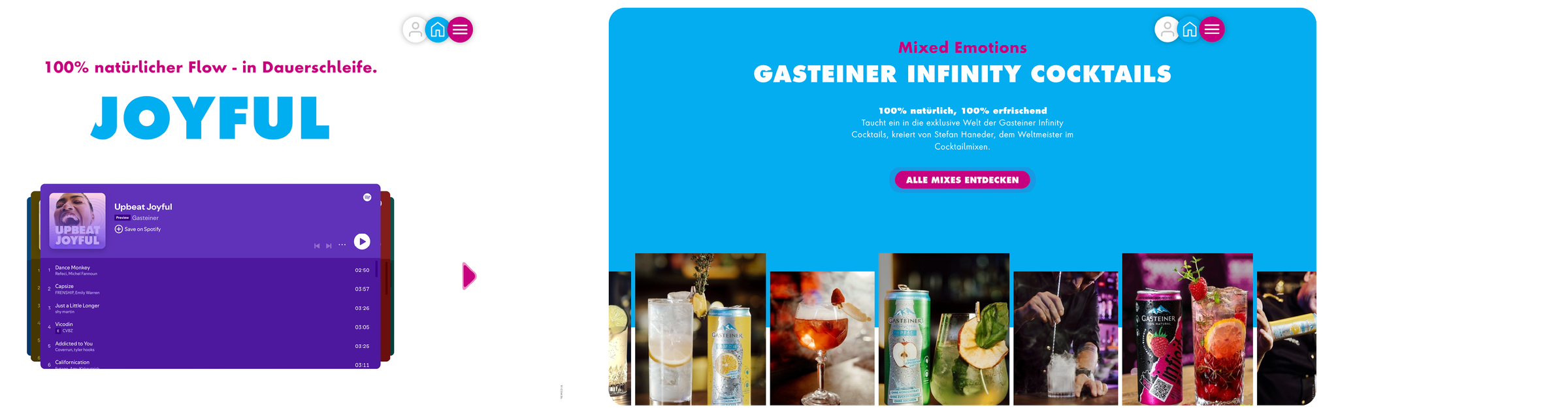 gasteiner infinity screens 2