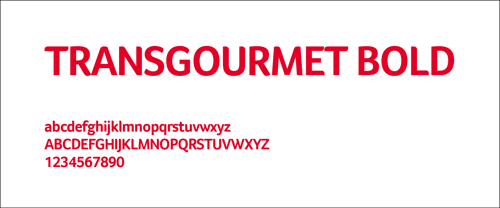 moremedia advertising agency linz typography 1 transgourmet22