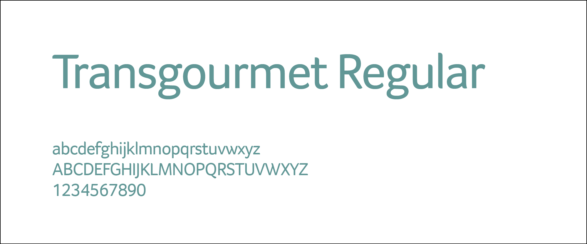 moremedia advertising agency linz typography 1 transgourmet23