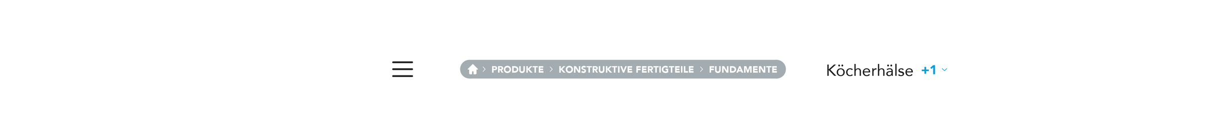 OBERNDORFER – Neue Website für den Pionier im Bereich Betonfertigteile | MOREMEDIA®