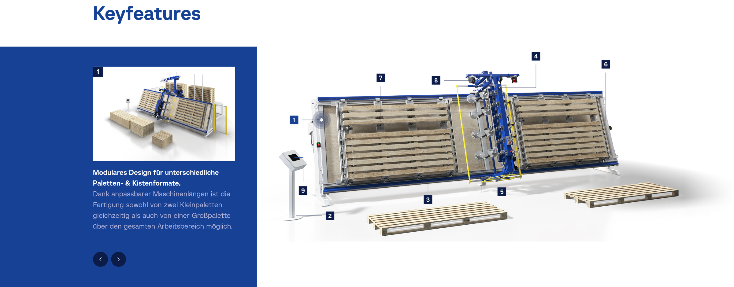 stoiber screen design 6 2