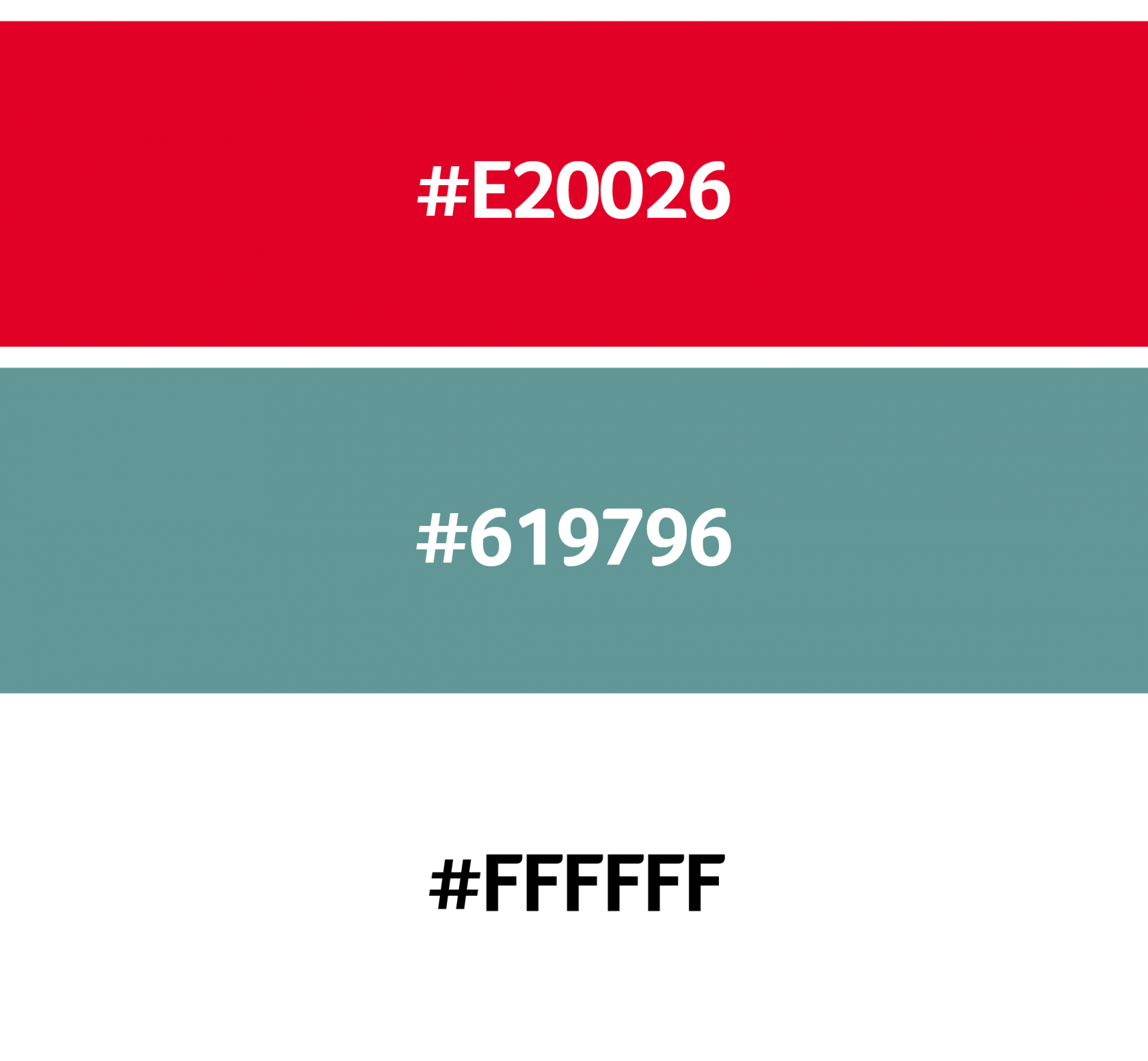 moremedia werbeagentur linz farbe transgourmet 3