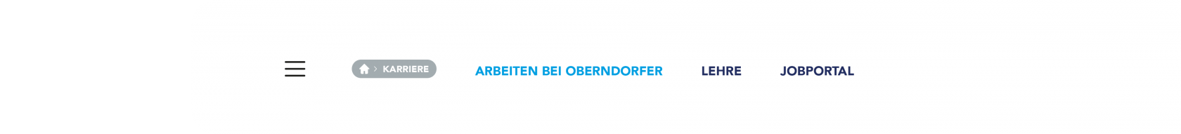OBERNDORFER – Neue Website für den Pionier im Bereich Betonfertigteile | MOREMEDIA® OBERNDORFER – Neue Website für den Pionier im Bereich Betonfertigteile | MOREMEDIA®