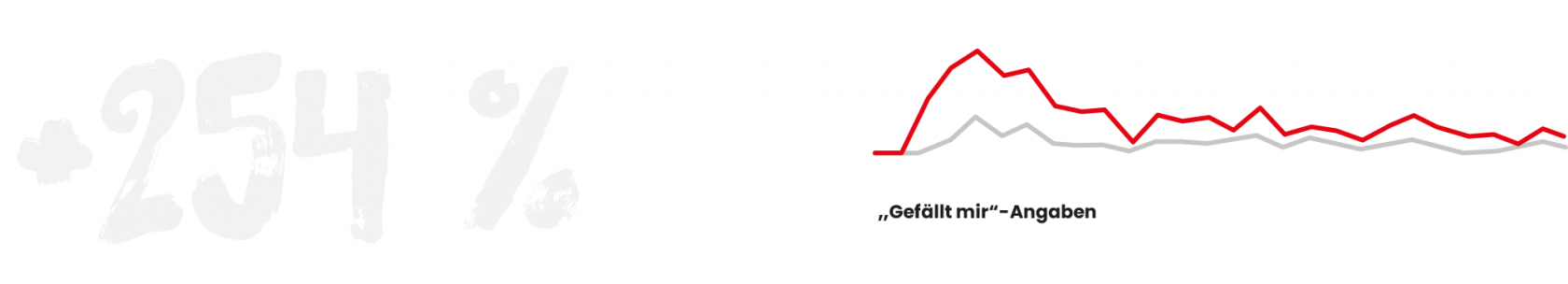 reder transporte fakten 1 moremedia werbeagentur linz