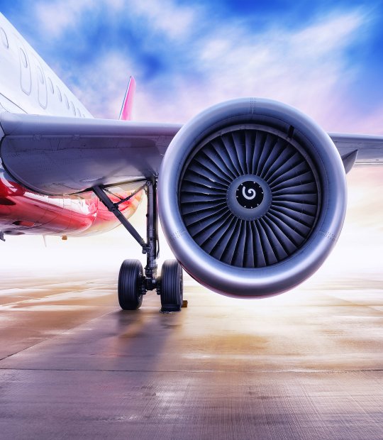 Webdesign für Test-Fuchs